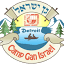 cgidetroit.com