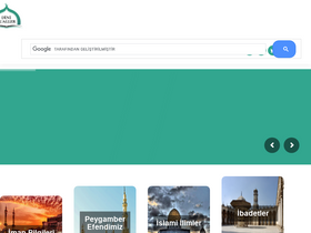 'dinisualler.com' screenshot