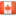 algonquinparkcanoetrips.com