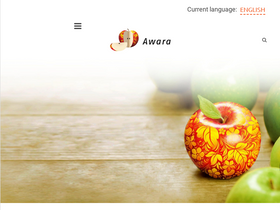 awaragroup.com