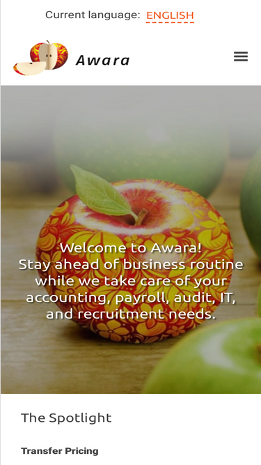 awaragroup.com