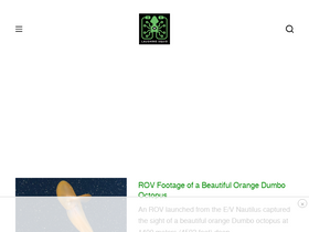 'laughingsquid.com' screenshot