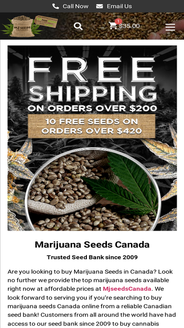 mjseedscanada.com