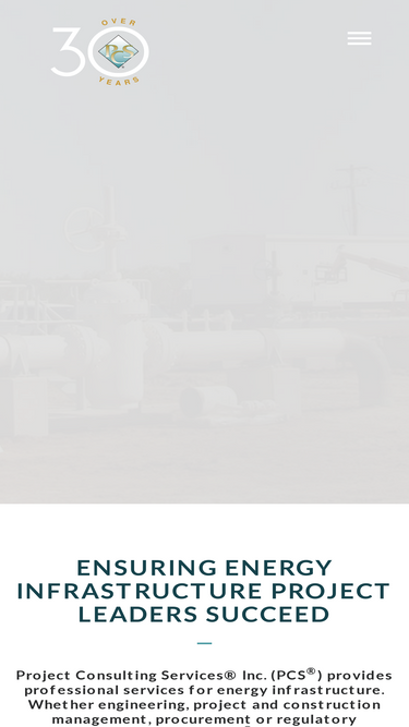 projectconsulting.com