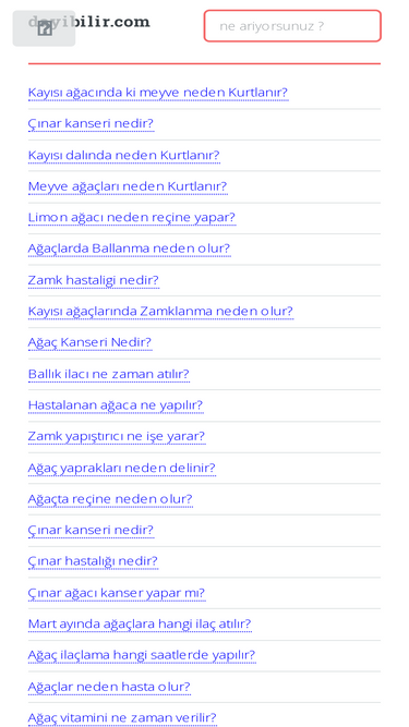 dayibilir.com