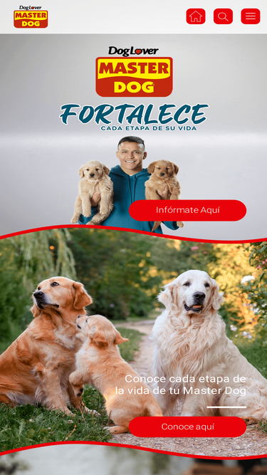 masterdog.cl