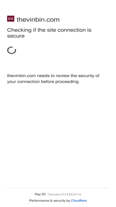 thevinbin.com