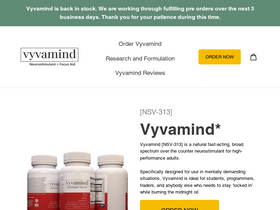 'vyvamind.com' screenshot