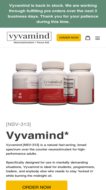 vyvamind.com