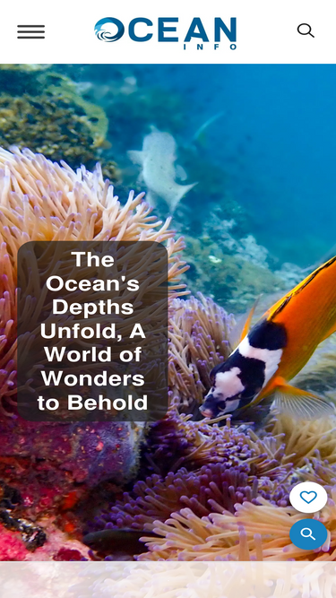 oceaninfo.com