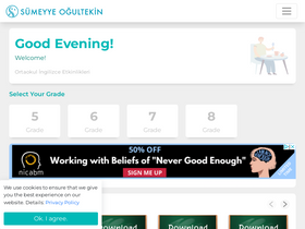 'sumeyyeogultekin.com' screenshot