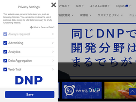 'dnp.co.jp' screenshot