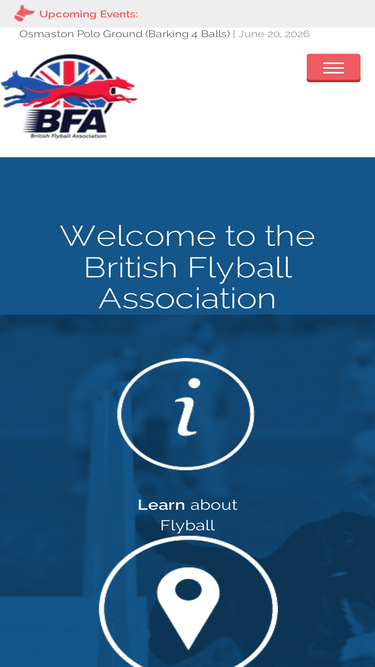 flyball.org.uk