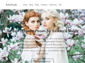 'beart-presets.com' screenshot