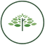 raintreeskindergarten.com