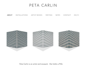 peta-carlin-gzcc.squarespace.com