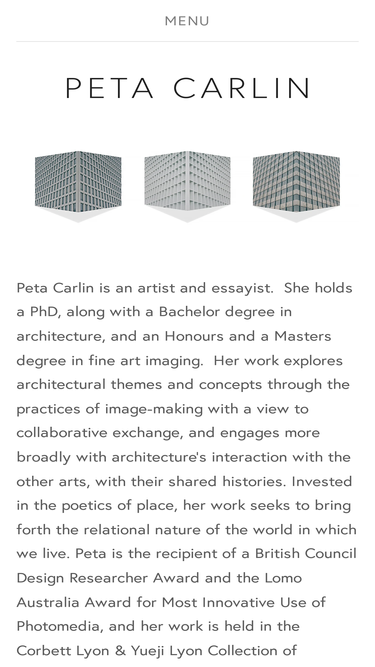 peta-carlin-gzcc.squarespace.com