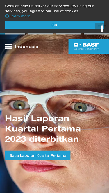 basf.co.id