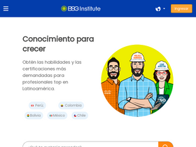 'bsginstitute.com' screenshot