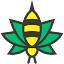 buzzcannabis.com