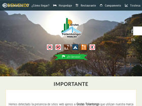'grutastolantongo.com.mx' screenshot