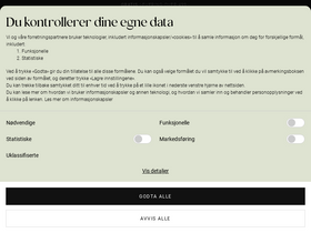 'zizzi.no' screenshot
