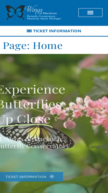 wingsofmackinac.com