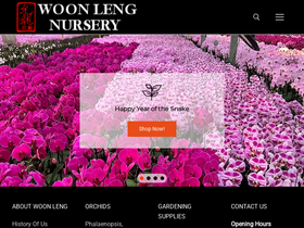 woonleng.com