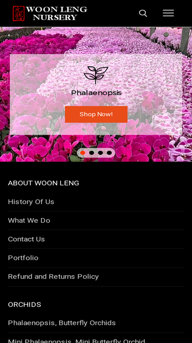 woonleng.com