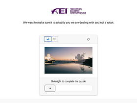 'fei.org' screenshot