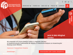 'igbau.de' screenshot