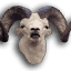 alaskahunts.net