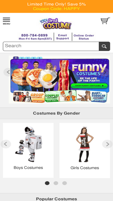 findcostume.com
