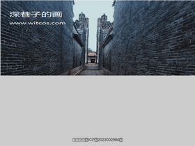 'witcos.com' screenshot