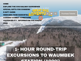 'thecog.com' screenshot