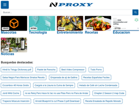 'nproxy.org' screenshot