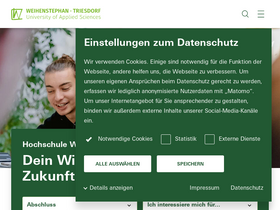 'hswt.de' screenshot