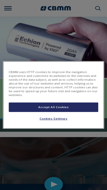 cbmm.com