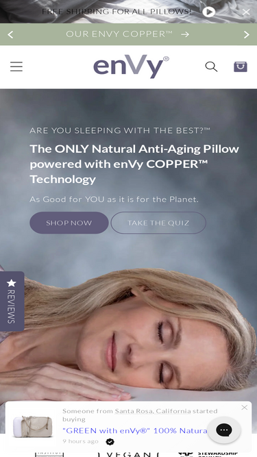 envypillow.com