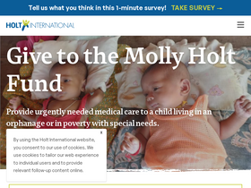 'holtinternational.org' screenshot