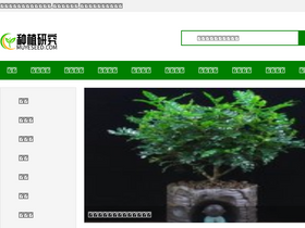 'muyeseed.com' screenshot