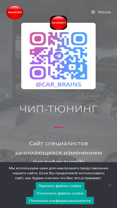 car-brains.com