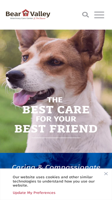 bearvalleyvet.com