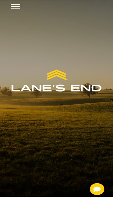 lanesend.com