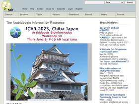 'arabidopsis.org' screenshot