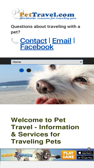 pettravel.com