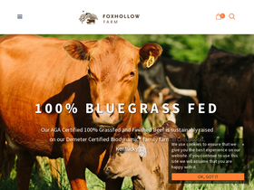 foxhollow.com