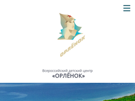 'center-orlyonok.ru' screenshot