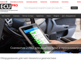 'ecupro.ru' screenshot