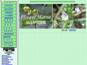 'matsue-hana.com' screenshot